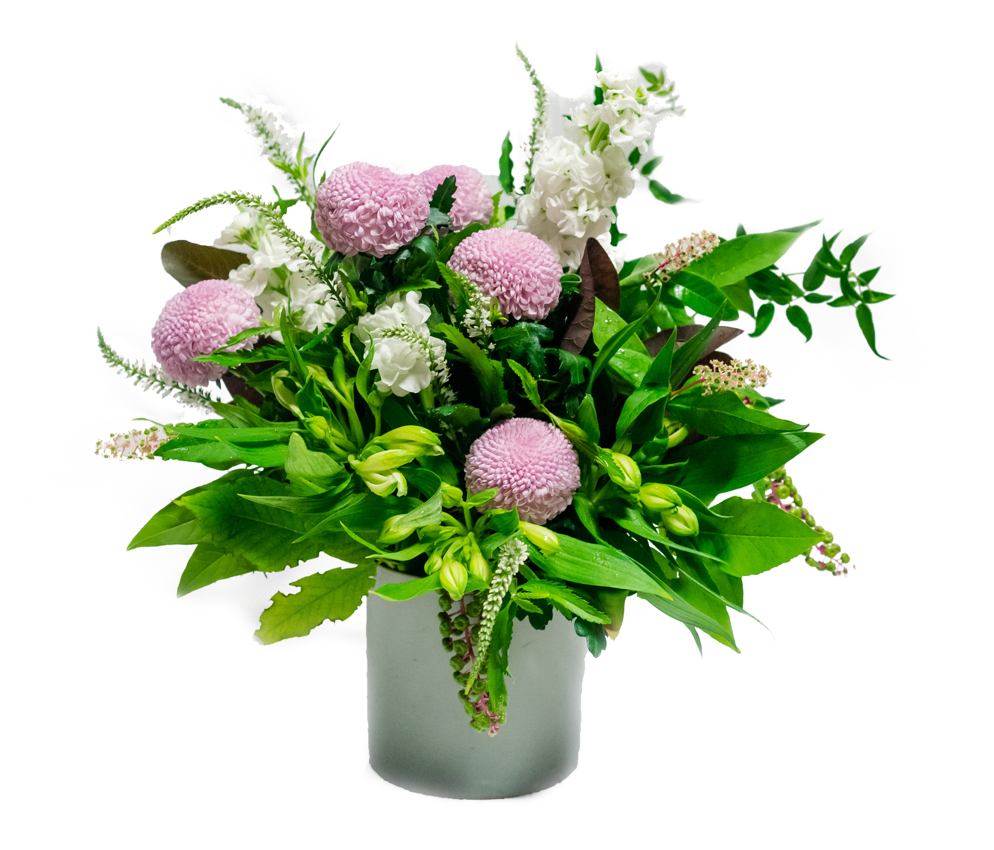 Bella pot 1 Bella pot